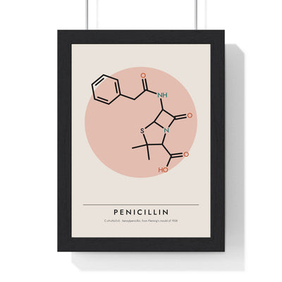 Penicillin Molecule print framed in a black frame, ready to hang