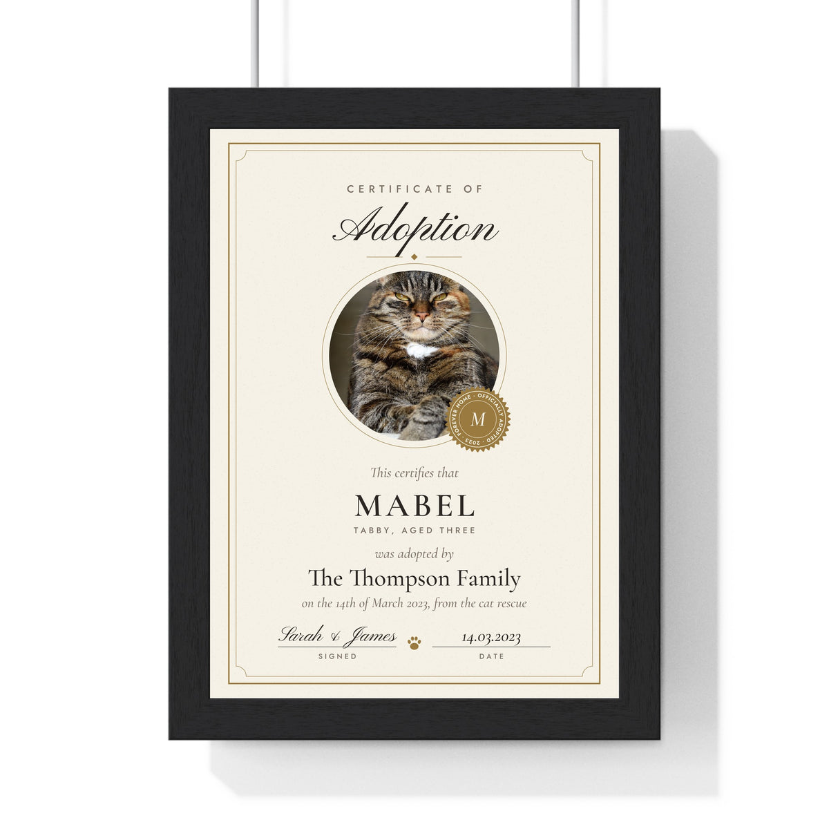 Personalised Cat Adoption Certificate Print - framed personalised cat adoption certificate print