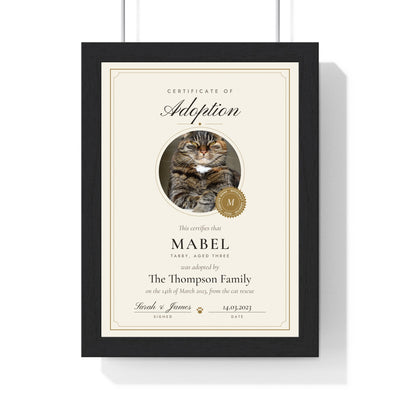 Personalised Cat Adoption Certificate Print - framed personalised cat adoption certificate print