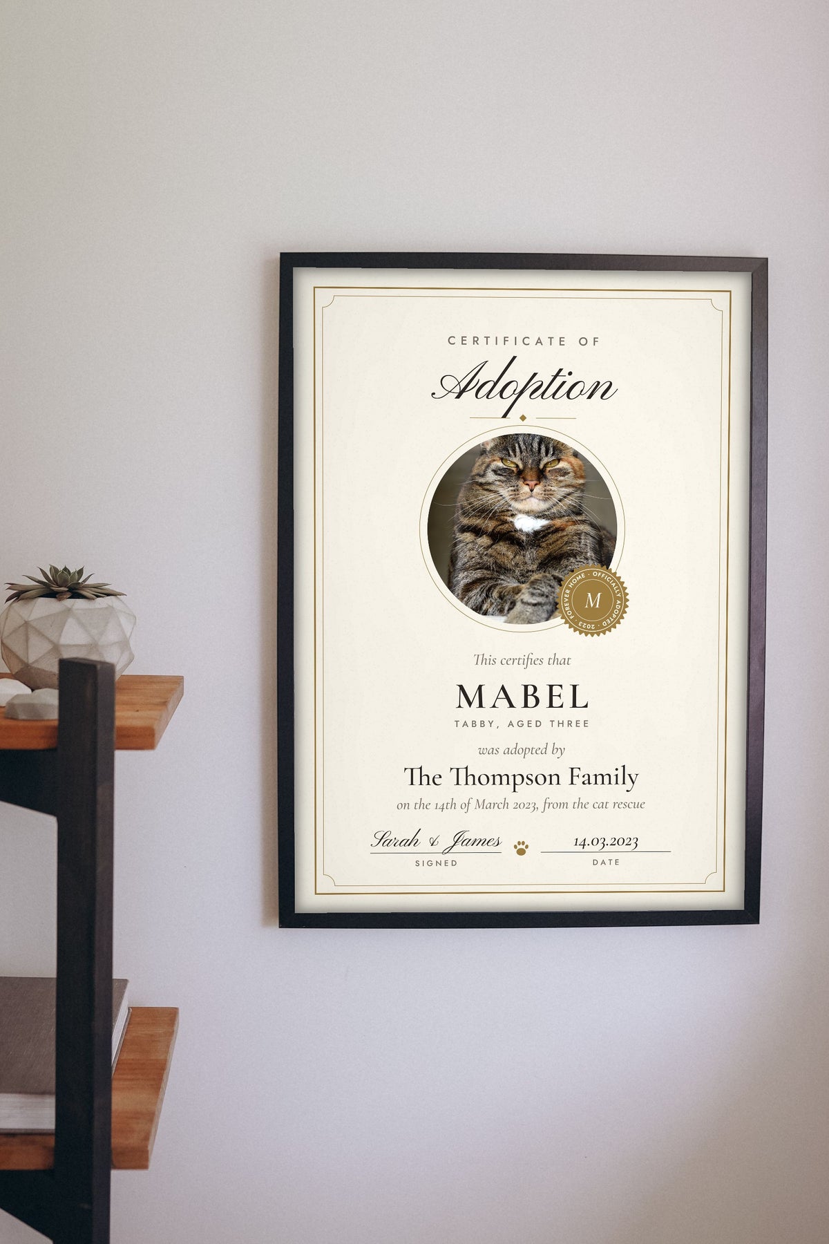 Personalised Cat Adoption Certificate Print - hanging on a living room wall