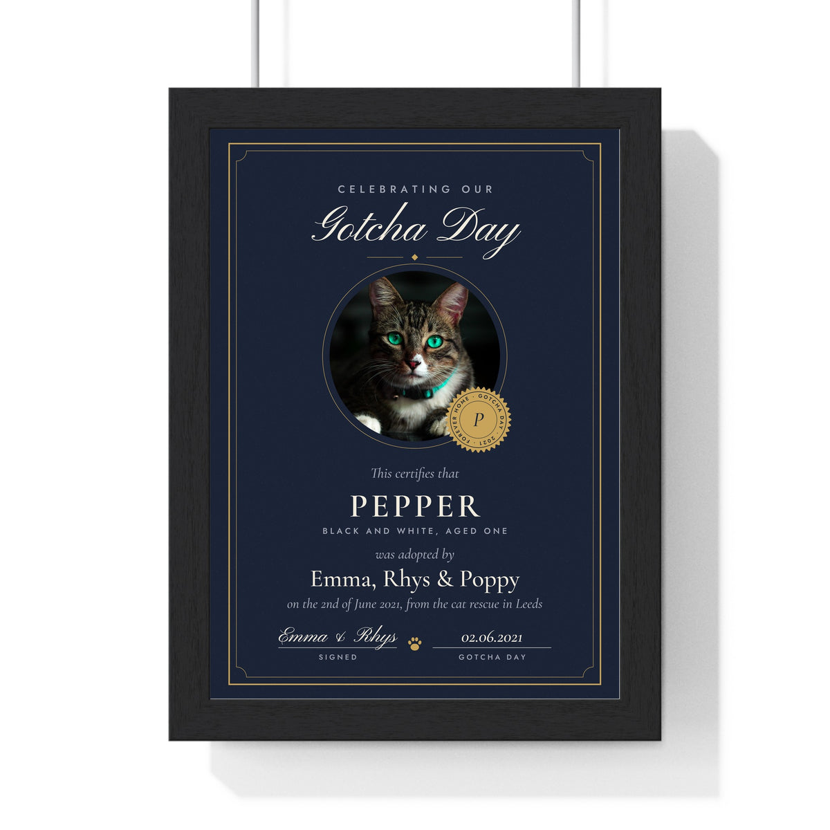 Personalised Cat Adoption Certificate Print - another colourway