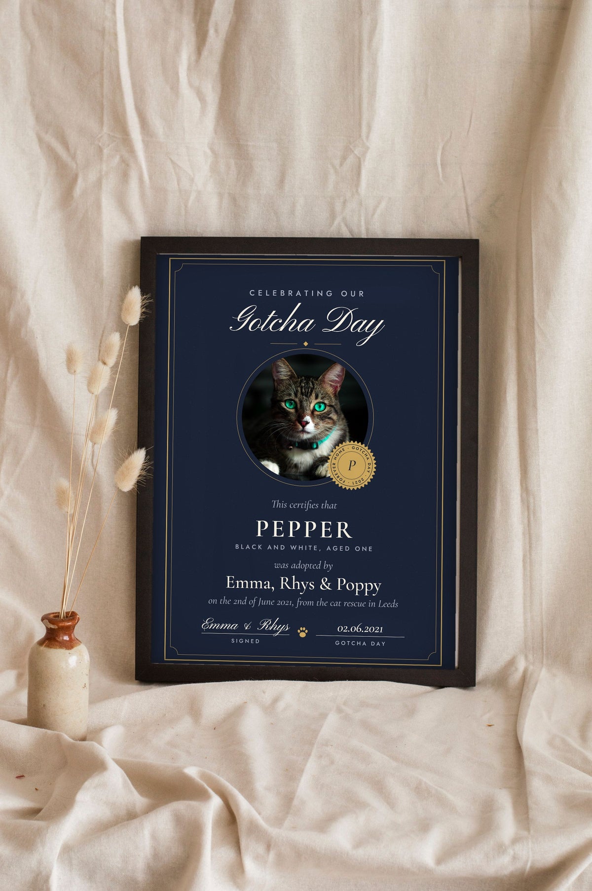Personalised Cat Adoption Certificate Print - leaning in a frame
