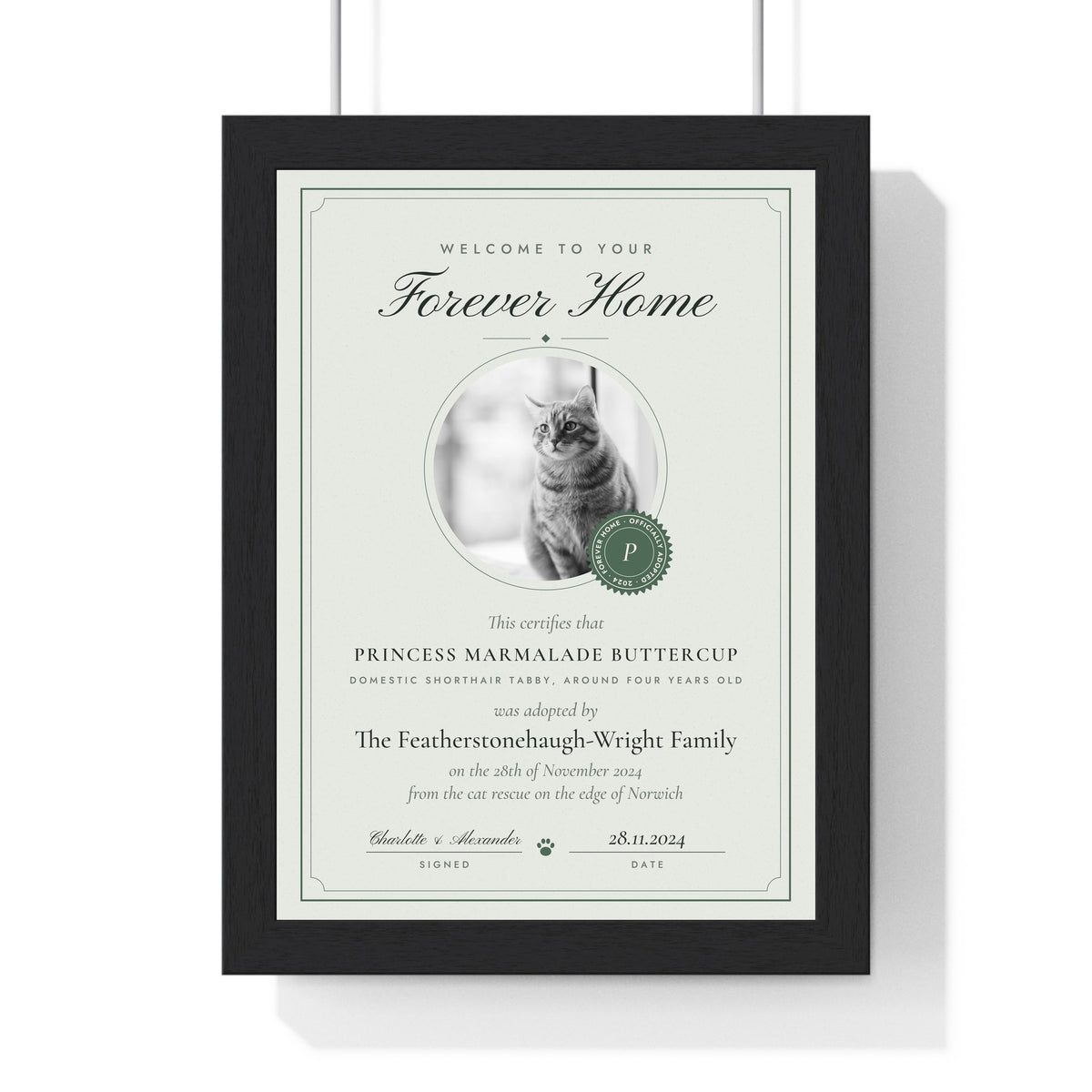 Personalised Cat Adoption Certificate Print - another design