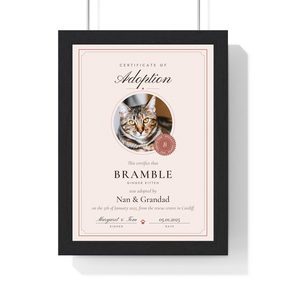 Personalised Cat Adoption Certificate Print - another design