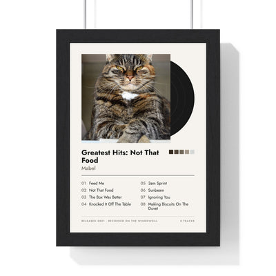 Personalised Cat Album Cover Print - framed personalised cat album cover print