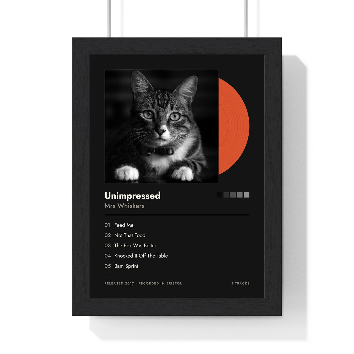 Personalised Cat Album Cover Print - another colourway