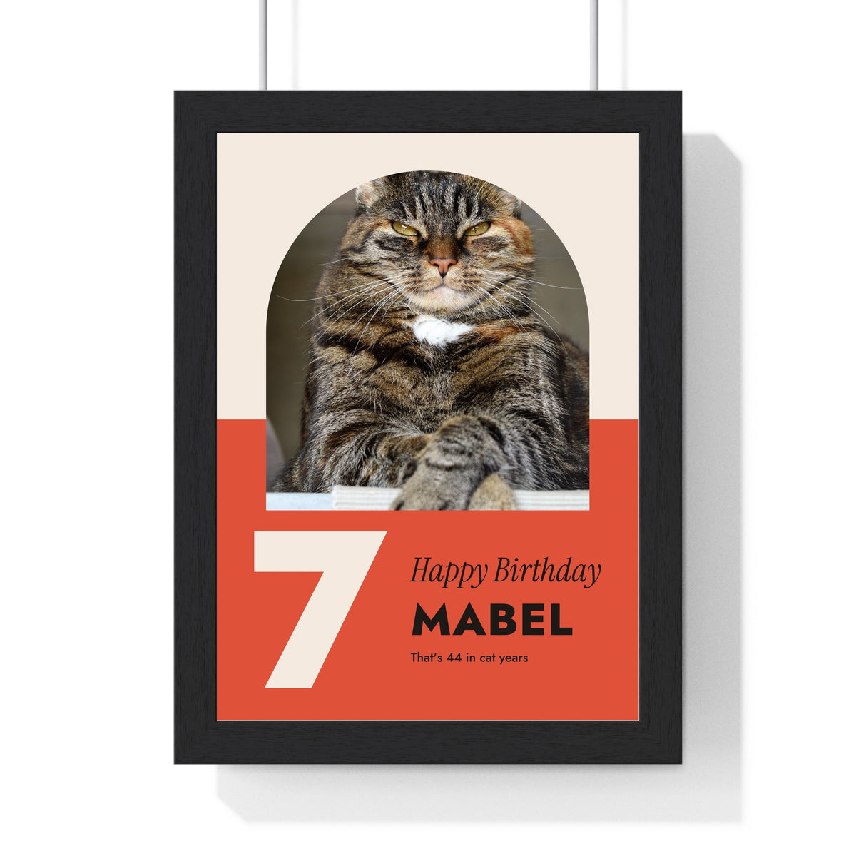 Personalised Cat Birthday Print - framed personalised cat birthday print