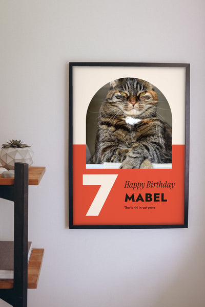 Personalised Cat Birthday Print - hanging on a living room wall