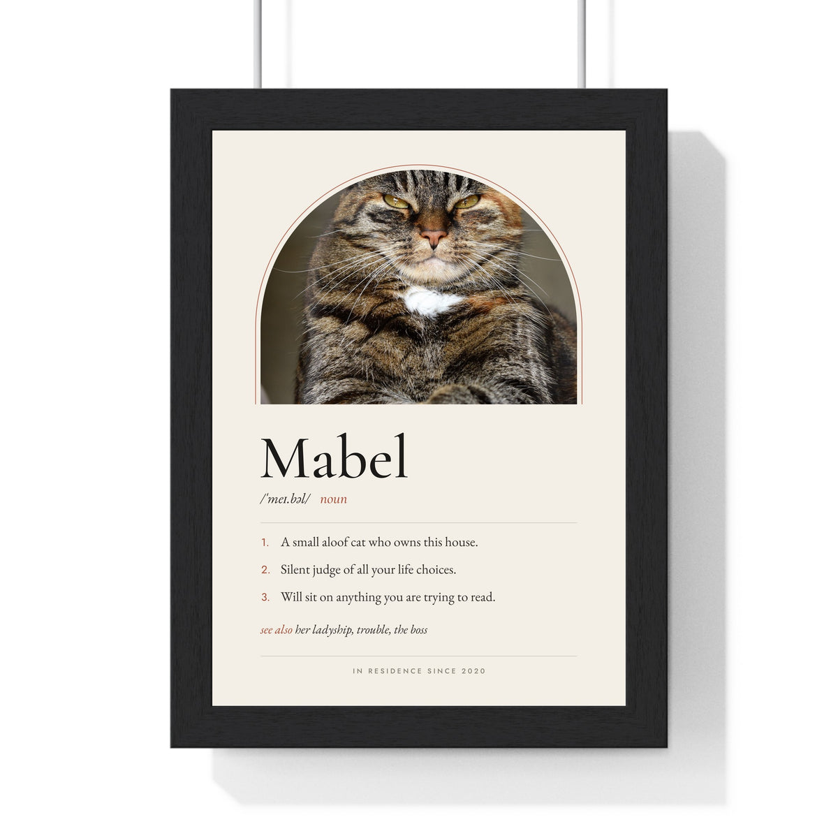 Personalised Cat Definition Print - framed personalised cat definition print