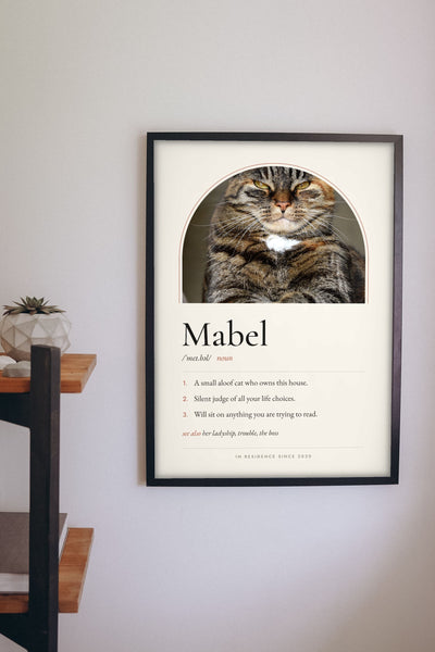 Personalised Cat Definition Print - hanging on a living room wall