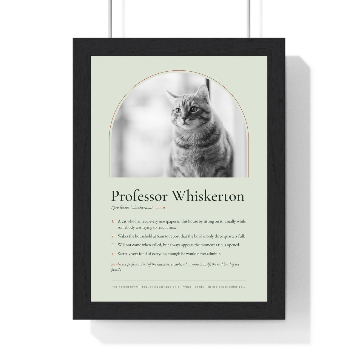 Personalised Cat Definition Print - another design