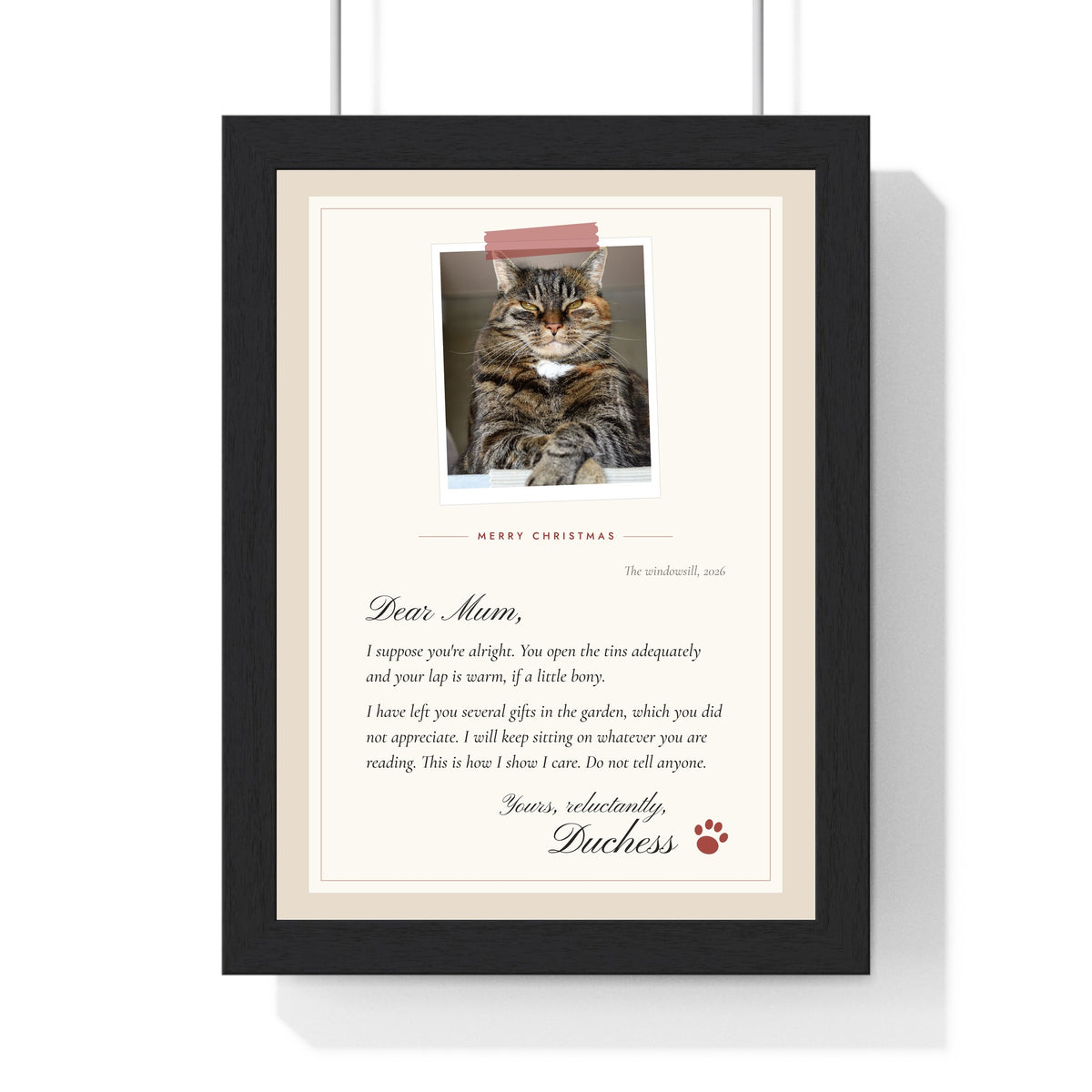 Personalised Gift From the Cat Letter Print - framed personalised gift from the cat letter print