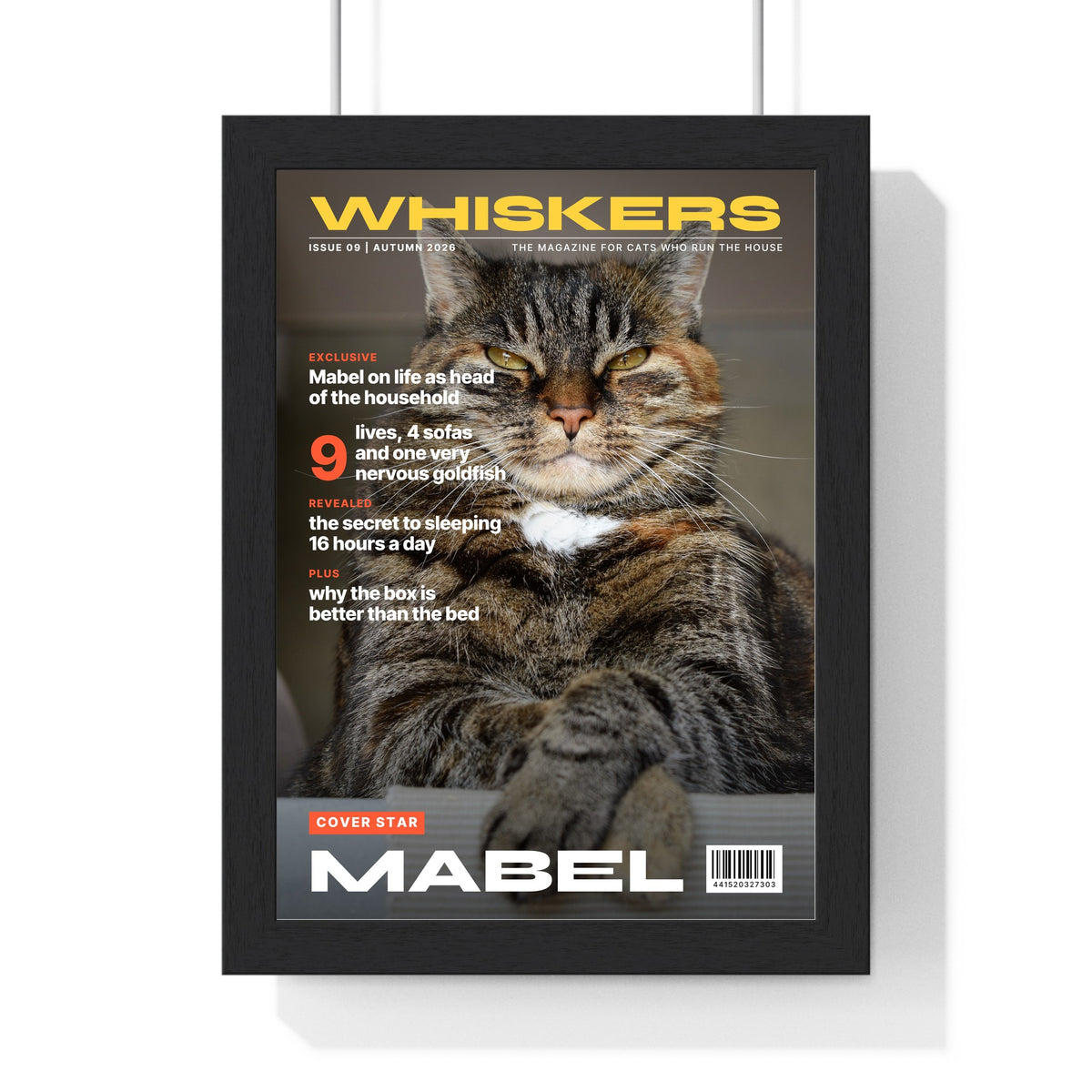 Personalised Cat Magazine Cover Print - framed personalised cat magazine cover print
