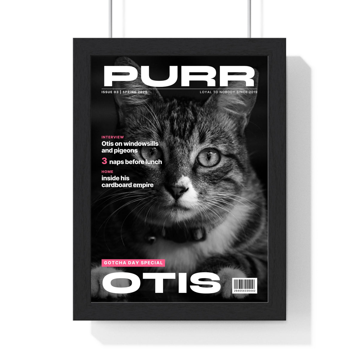 Personalised Cat Magazine Cover Print - another colourway