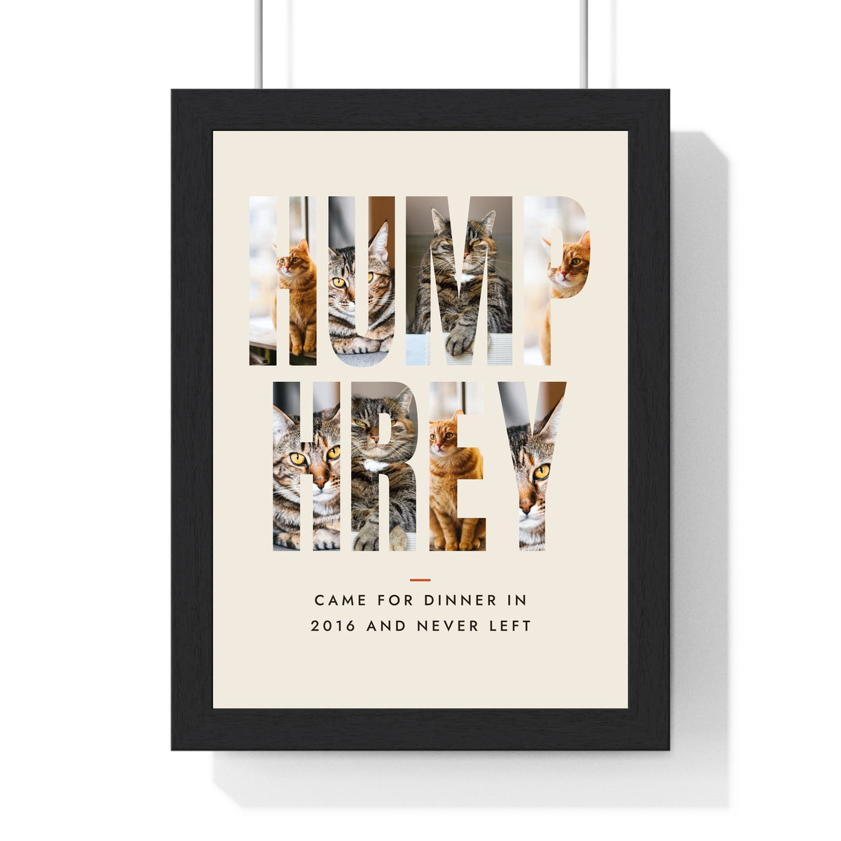 Personalised Cat Name Photo Letters Print - another design