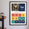 Personalised Cat Periodic Table Print - hanging on a living room wall