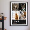 Personalised Cat Photo Collage Print with Name - hanging on a living room wall