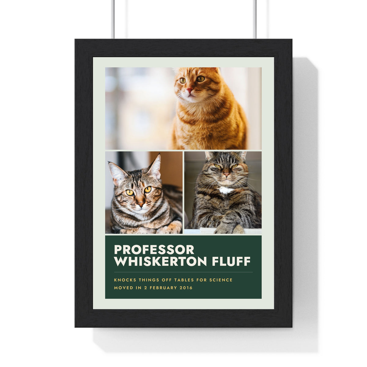 Personalised Cat Photo Collage Print with Name - another design