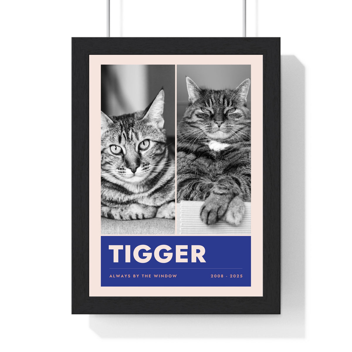 Personalised Cat Photo Collage Print with Name - another design