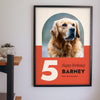 Personalised Dog Birthday Print - hanging on a living room wall