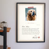 Personalised Gift From the Dog Letter Print - hanging on a living room wall