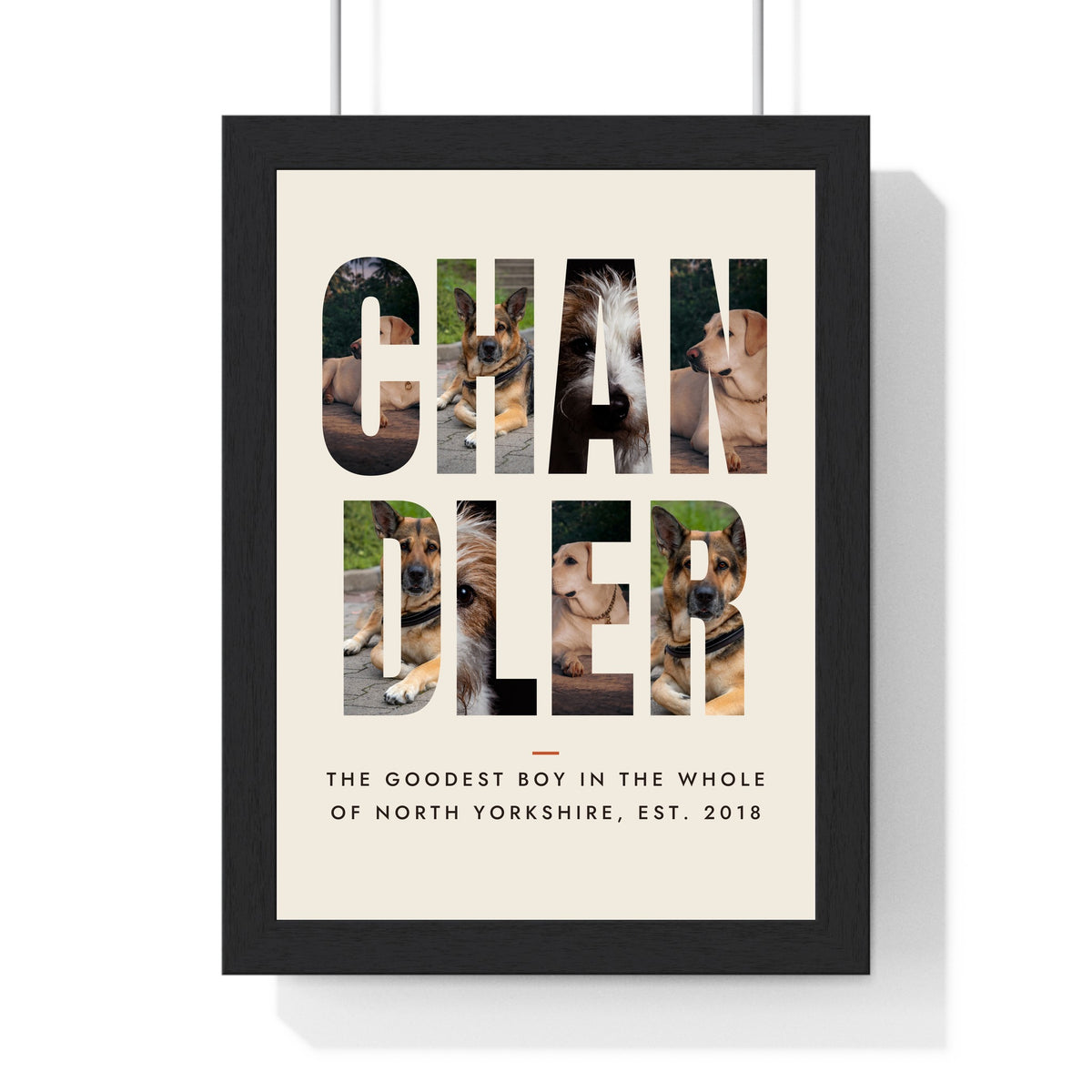 Personalised Dog Name Photo Letters Print - another design