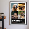 Personalised Dog Photo Collage Print with Name - hanging on a living room wall