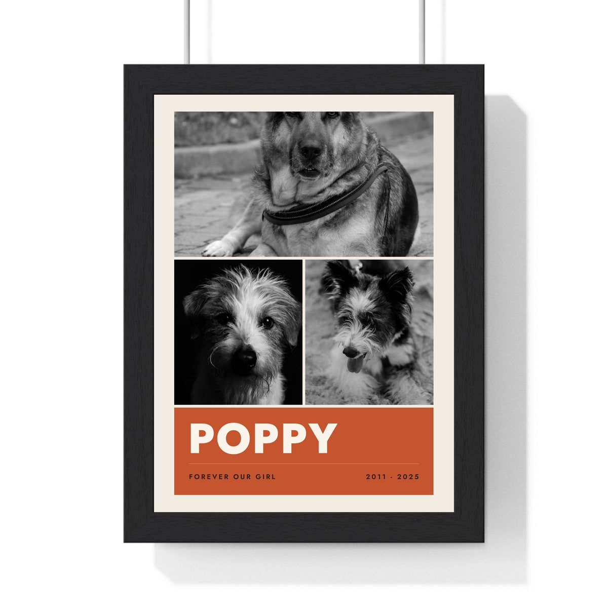 Personalised Dog Photo Collage Print with Name - another design
