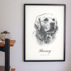 Personalised Dog Sketch Portrait Print - hanging on a living room wall