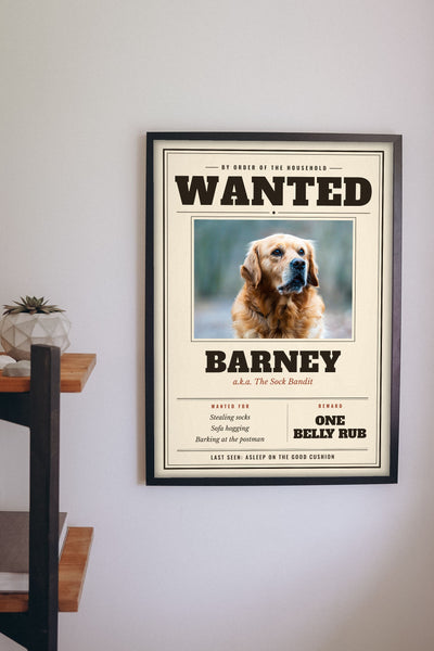 Personalised Dog Wanted Poster Print - hanging on a living room wall