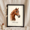Personalised Horse Print - chestnut horse portrait called Duke
