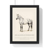 Personalised Horse Print - memorial print of a grey horse standing
