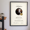 Personalised Pet Adoption Certificate Print - hanging on a living room wall