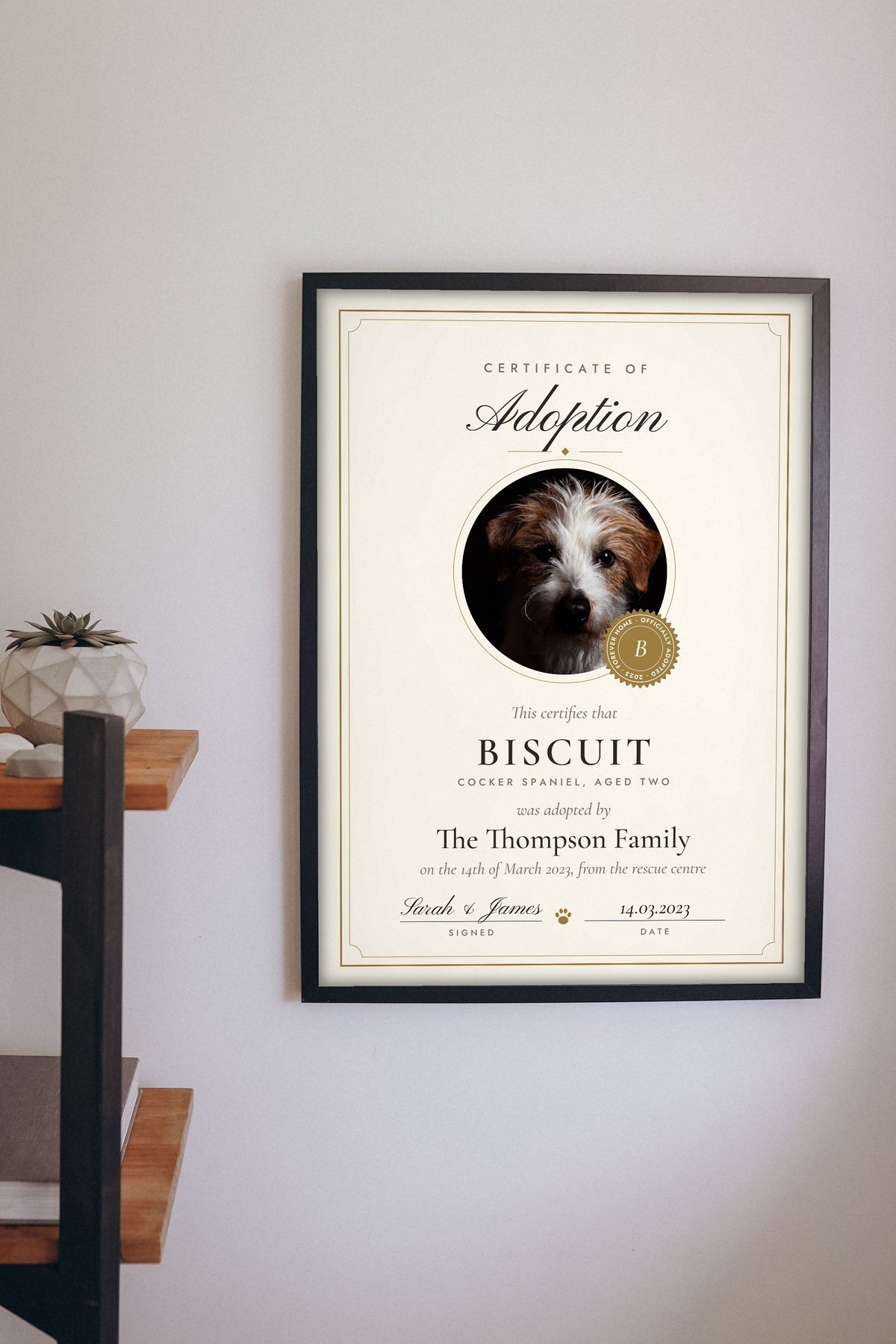Personalised Pet Adoption Certificate Print - hanging on a living room wall