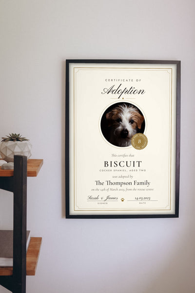Personalised Pet Adoption Certificate Print - hanging on a living room wall