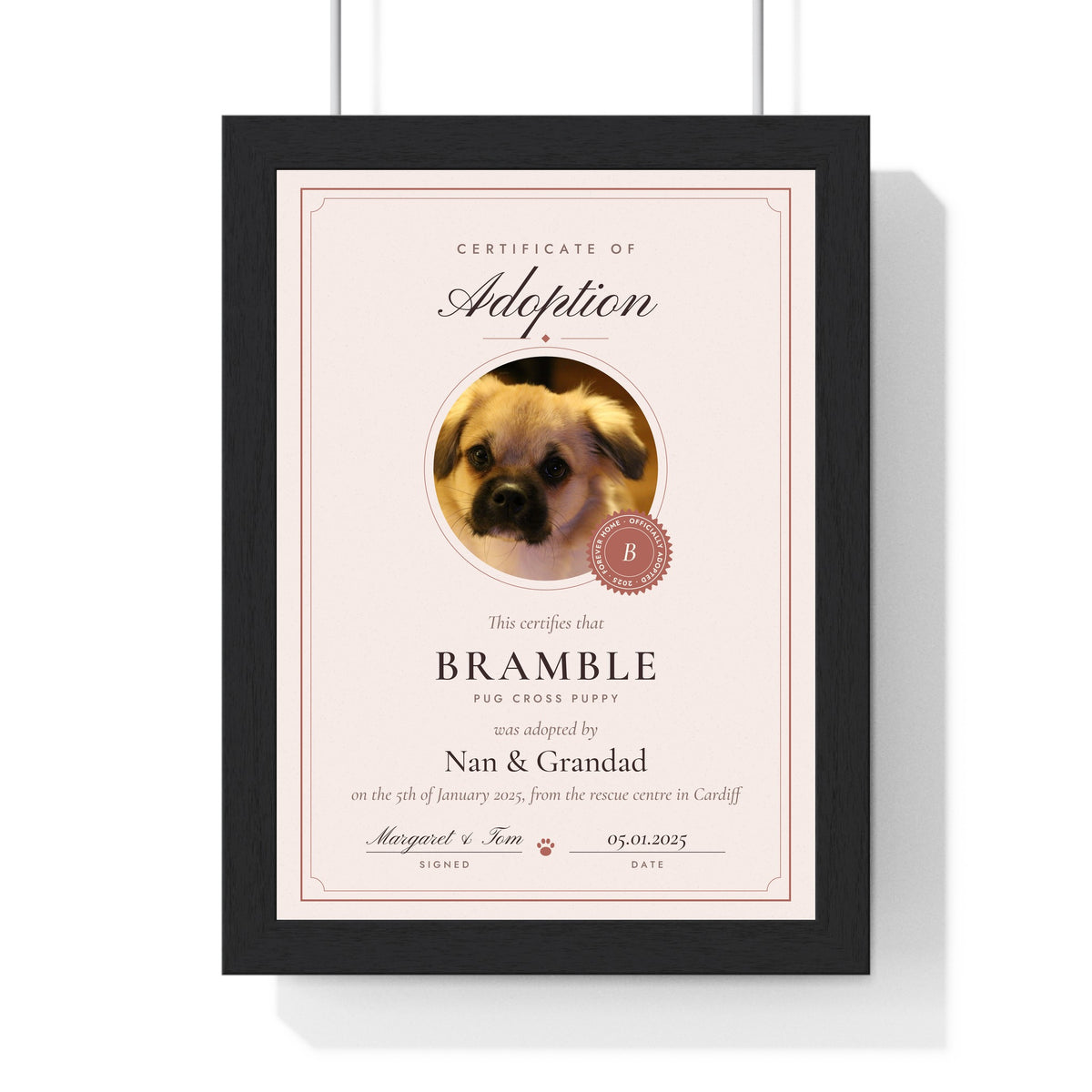 Personalised Pet Adoption Certificate Print - another design