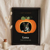 Personalised Pet in a Pumpkin Halloween Print - cat in a pumpkin print on black leaning in a frame