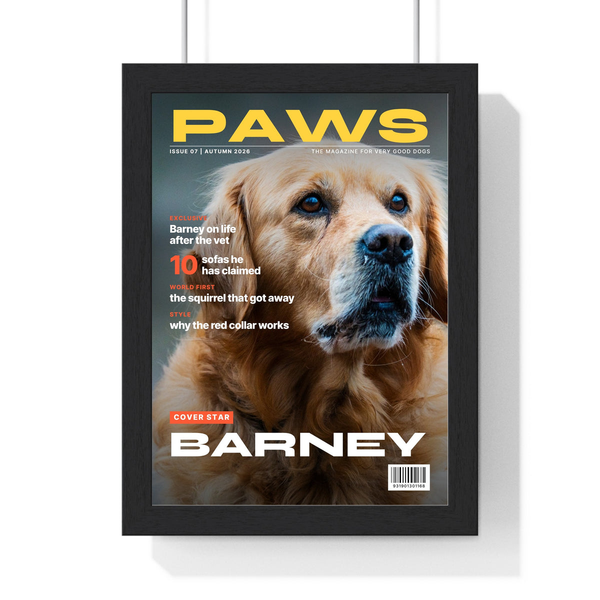 Personalised Pet Magazine Cover Print - framed personalised pet magazine cover print