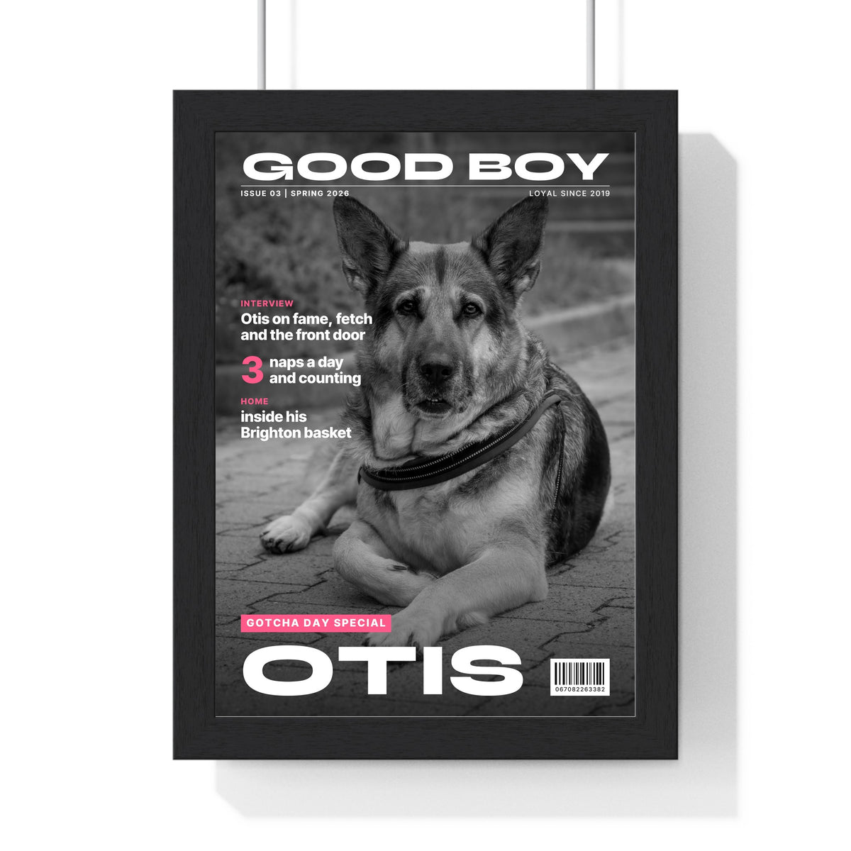Personalised Pet Magazine Cover Print - dark colourway