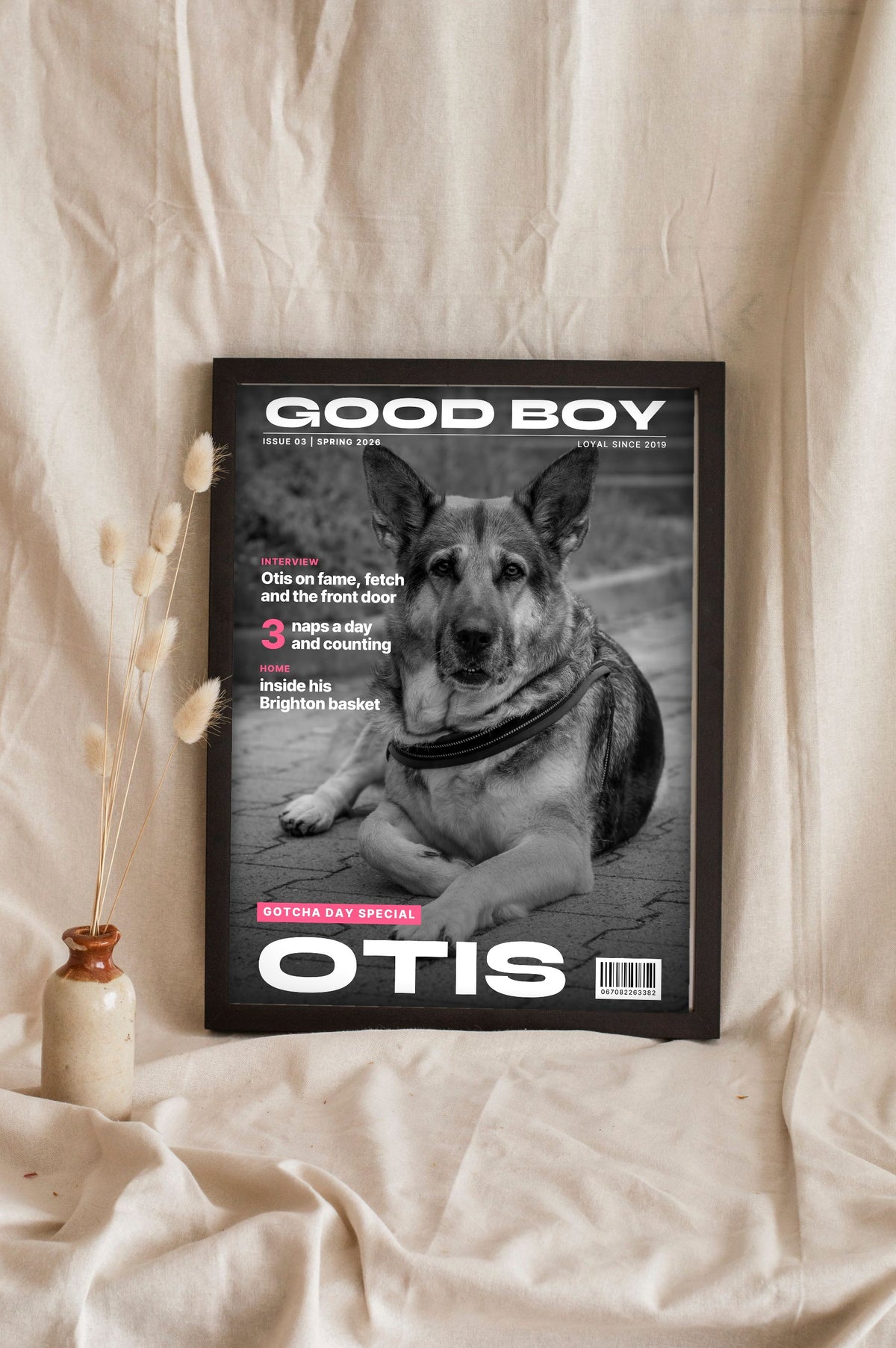 Personalised Pet Magazine Cover Print - leaning in a frame, dark colourway
