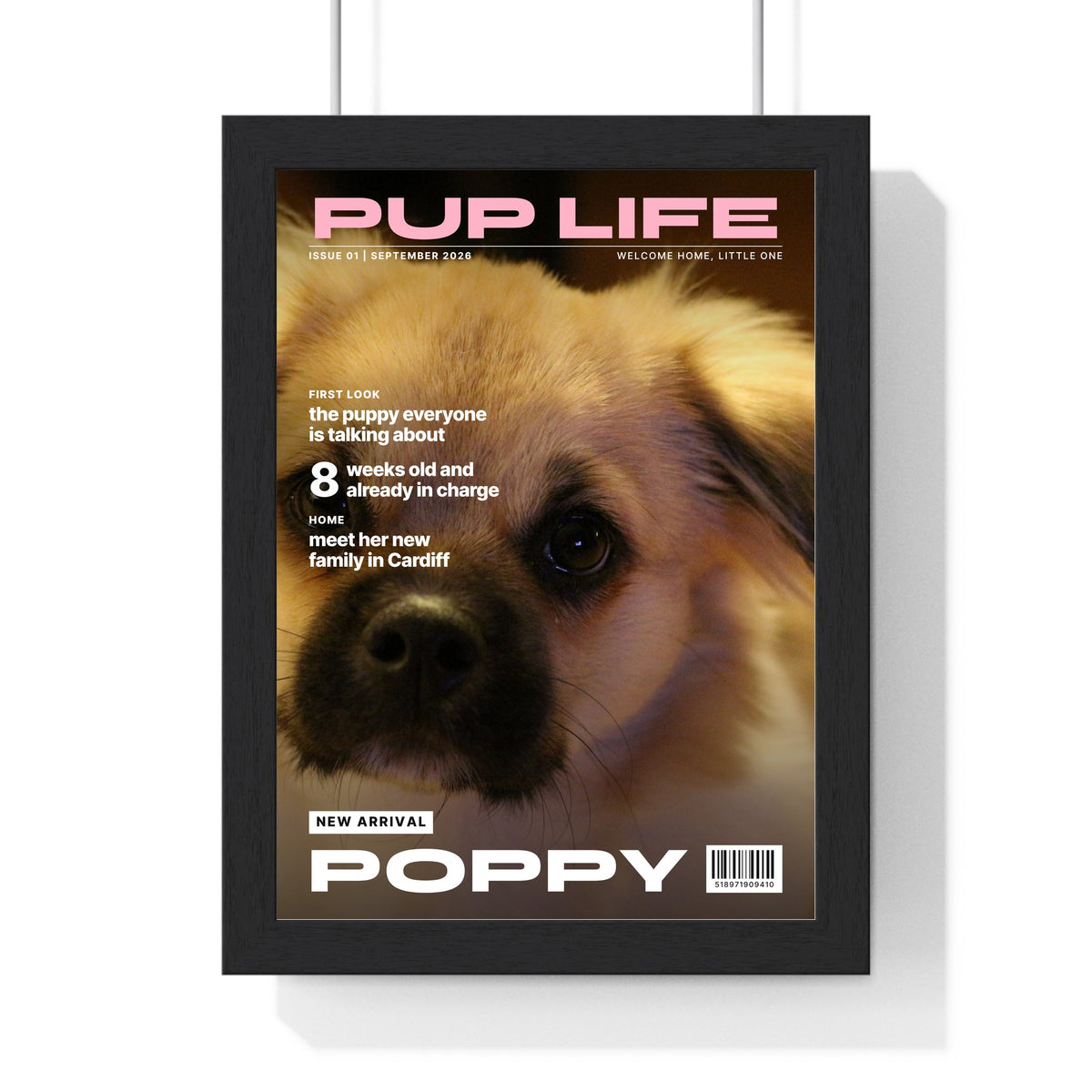 Personalised Pet Magazine Cover Print - another design