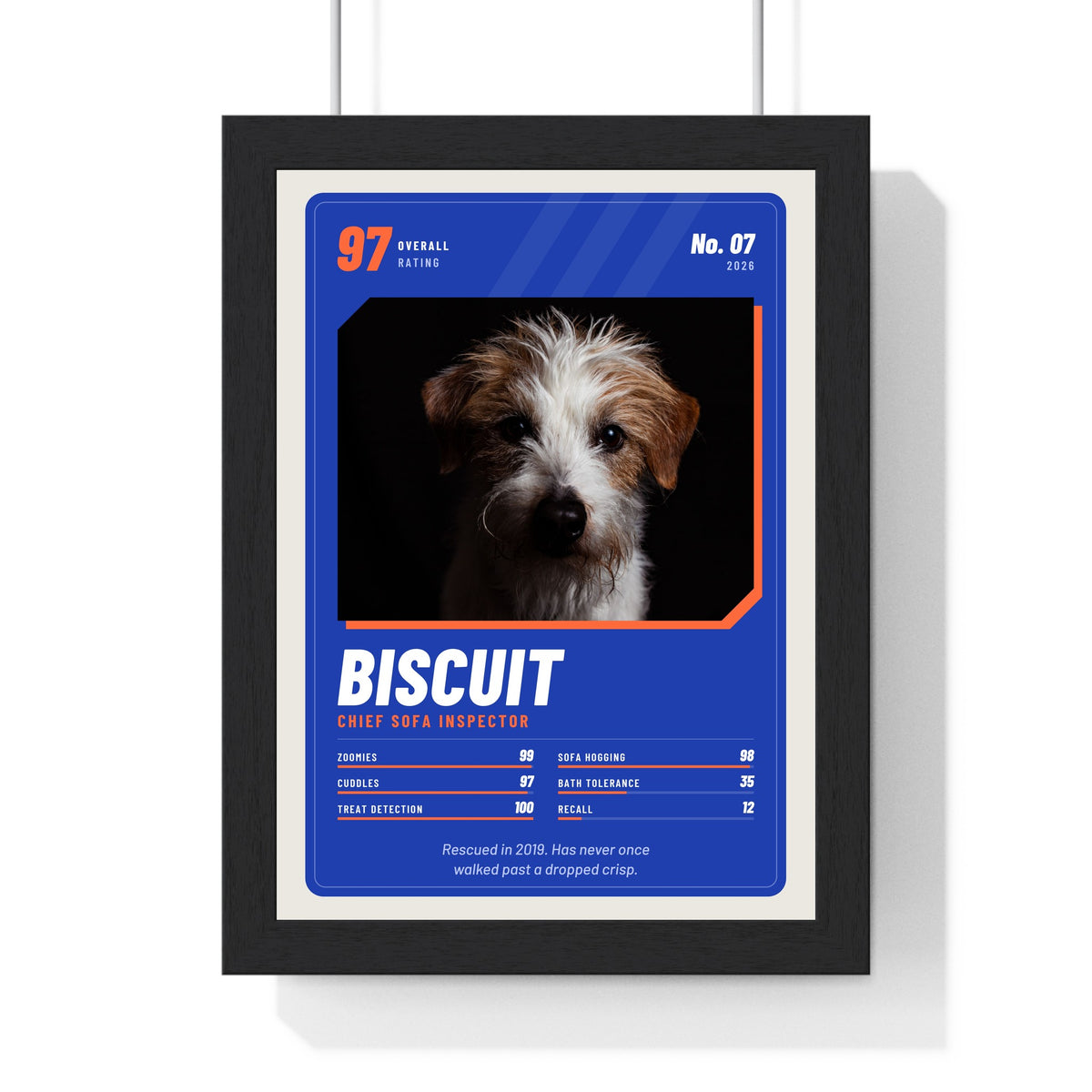 Personalised Pet Trading Card Print - framed personalised pet trading card print