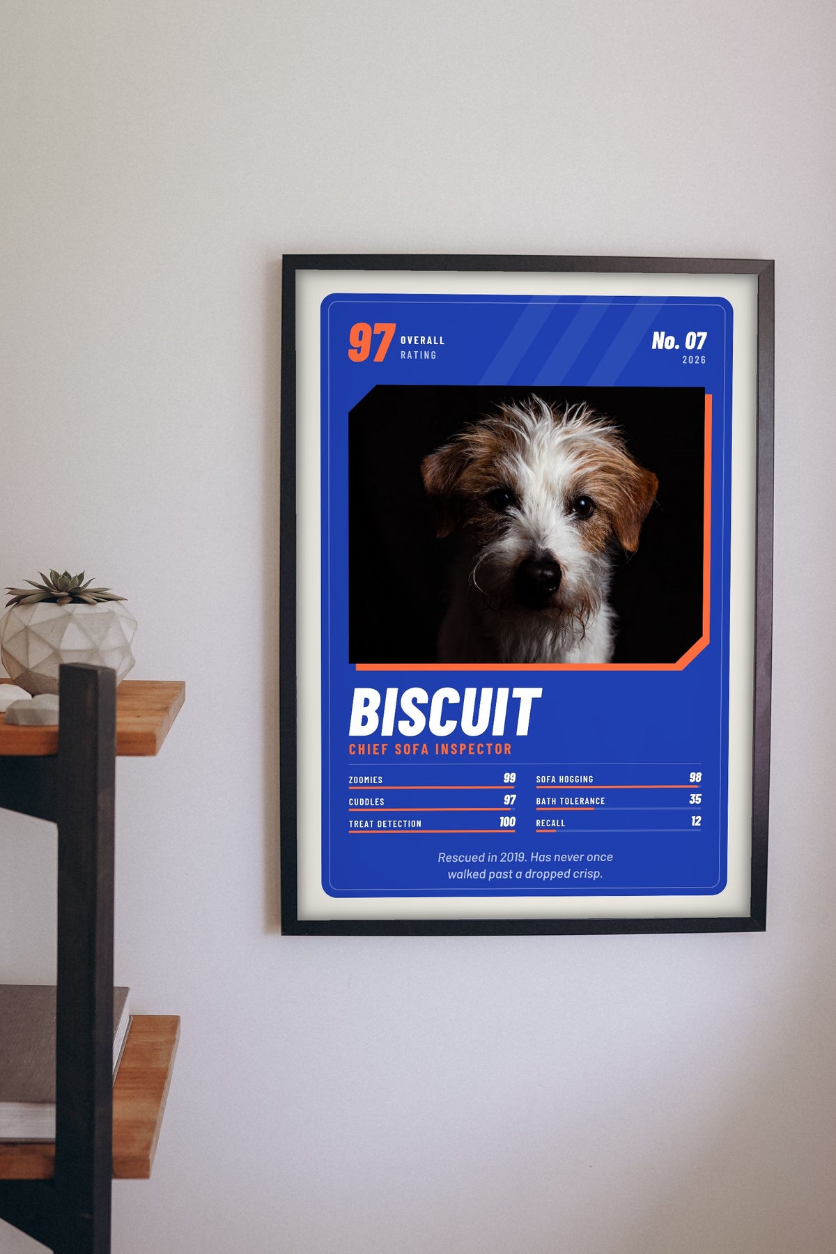 Personalised Pet Trading Card Print - hanging on a living room wall