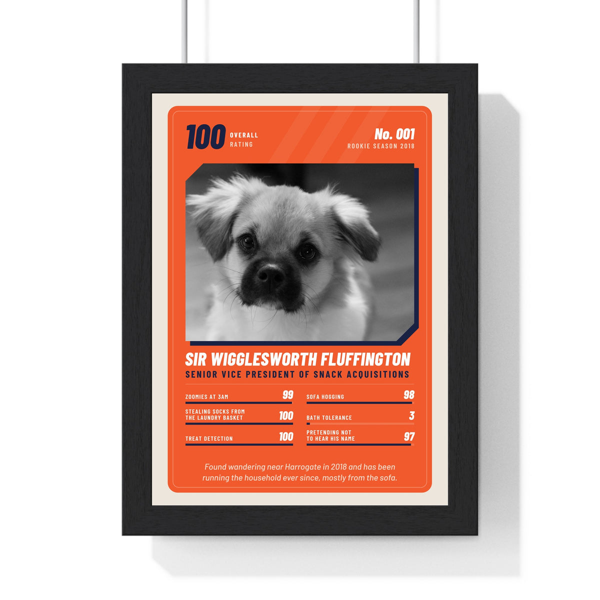Personalised Pet Trading Card Print - another design
