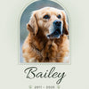 Personalised Pet Memorial Print - design detail