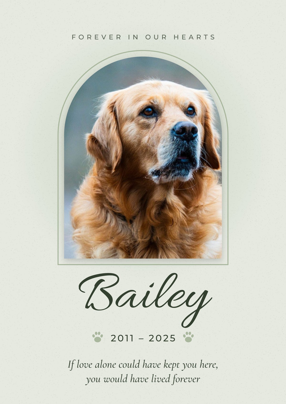 Personalised Pet Memorial Print - design detail
