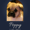 Personalised Pet Memorial Print - second design