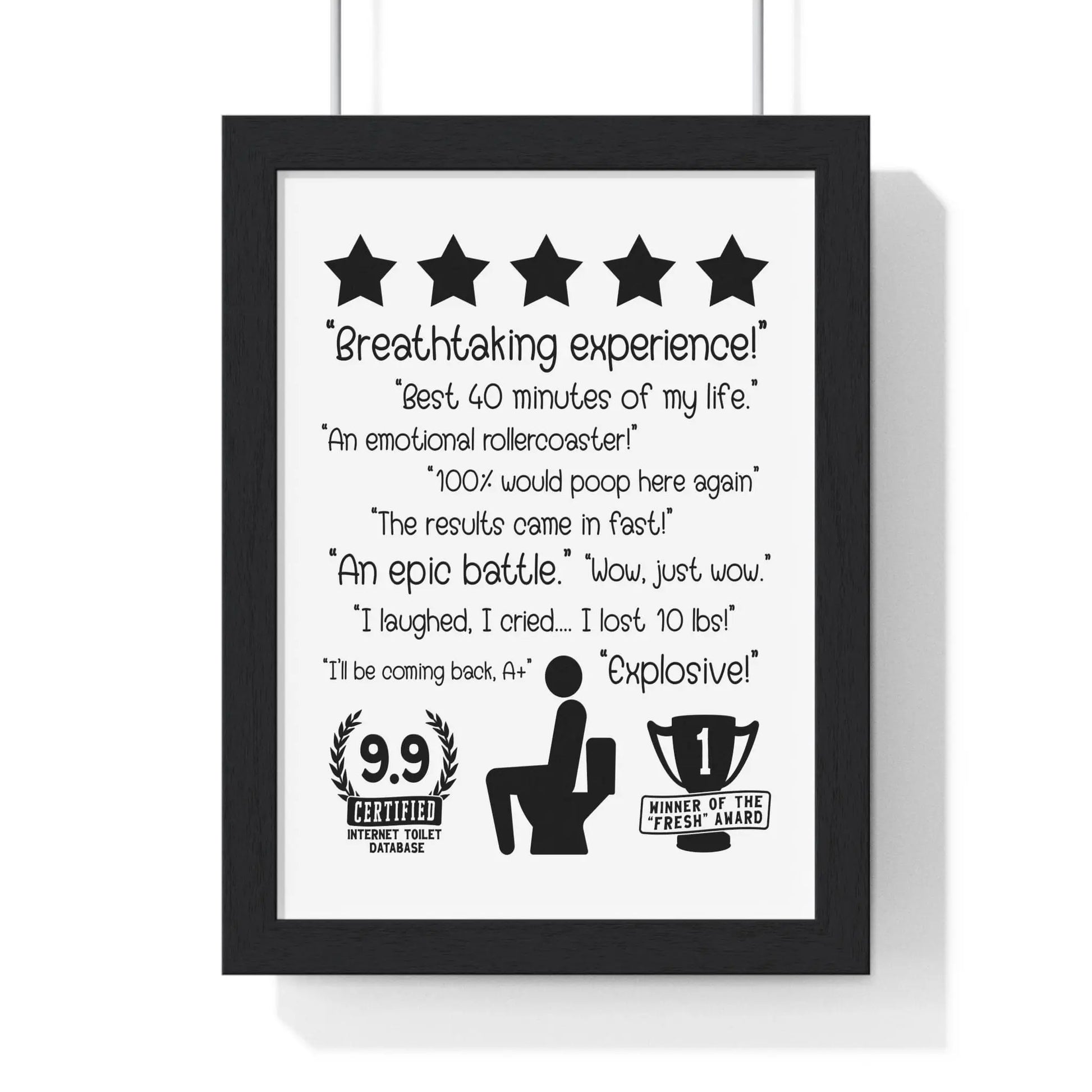 Bathroom Funny Bathroom Reviews Wall Art | Toilet Poster Poster Kingz
