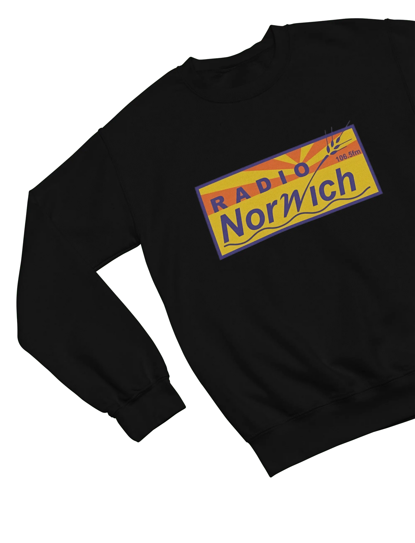 Clothing Alan Partridge Radio Norwich T-Shirt & Sweatshirt | Funny Parody Poster Kingz