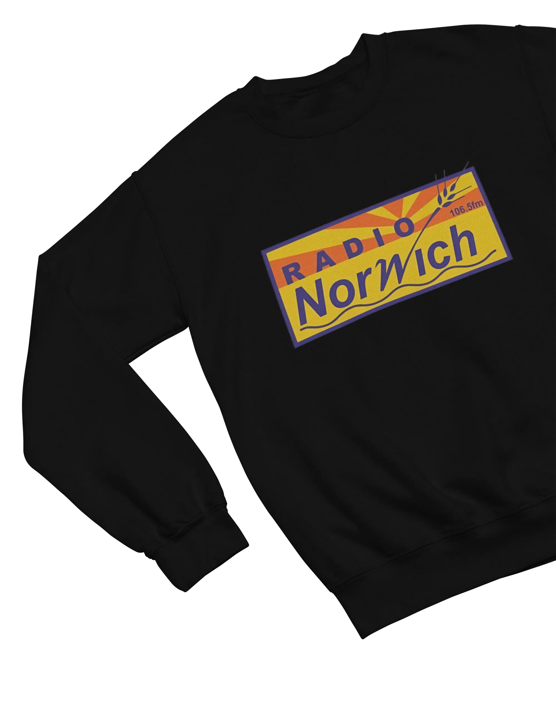 Clothing Alan Partridge Radio Norwich T-Shirt & Sweatshirt | Funny Parody Poster Kingz
